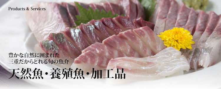 豊かな自然に恵まれた三重だからとれる旬の魚介　天然魚・養殖魚・加工品