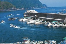 指導事業