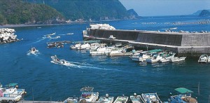 指導事業
