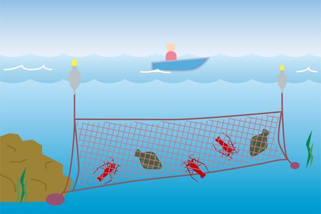 固定式の刺網 | 三重県漁業協同組合連合会［みえぎょれん］