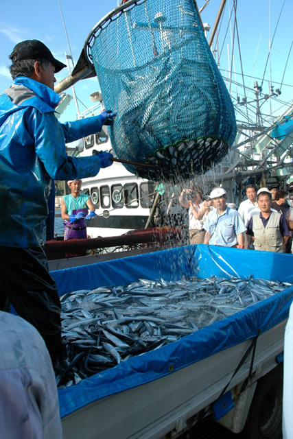 浜の声 さんま棒受網漁業 三重県漁業協同組合連合会 みえぎょれん