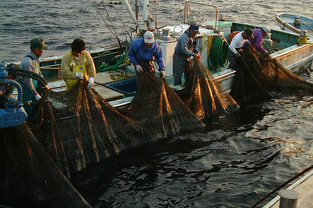 三重県 浜の声：大型定置網漁業