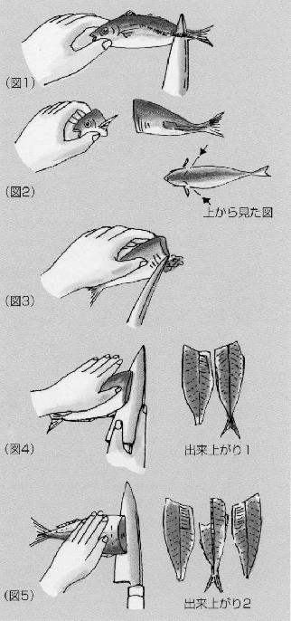 アジのさばき方