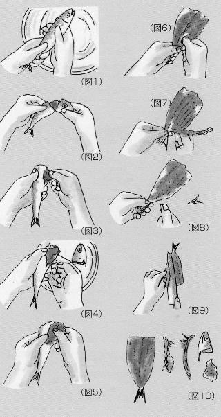 イワシのさばき方