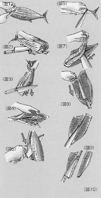 カツオのさばき方